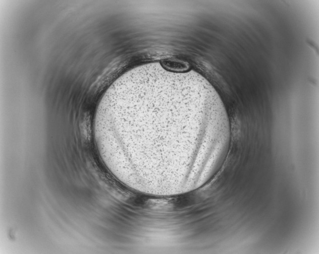 X0000101430170200807281008