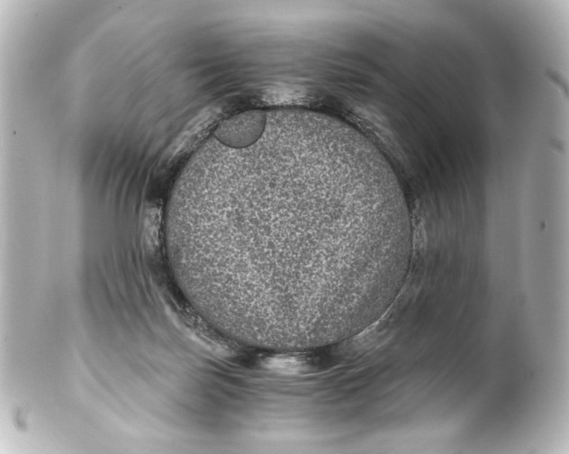 X0000101430171200807281008