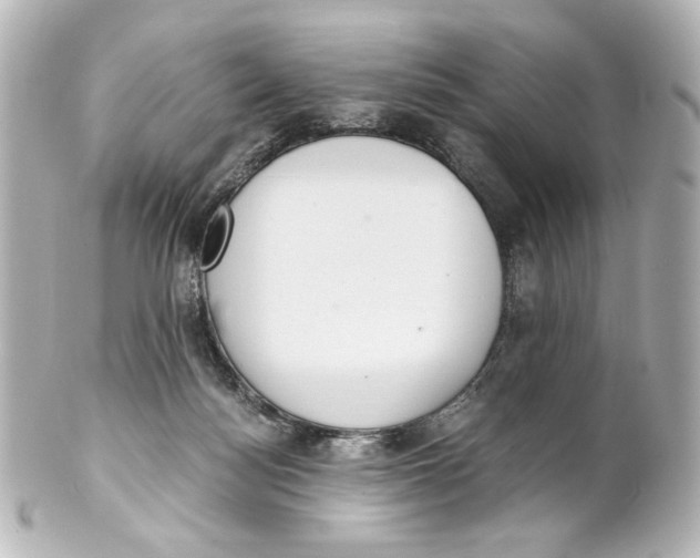 X0000101430172200807281008