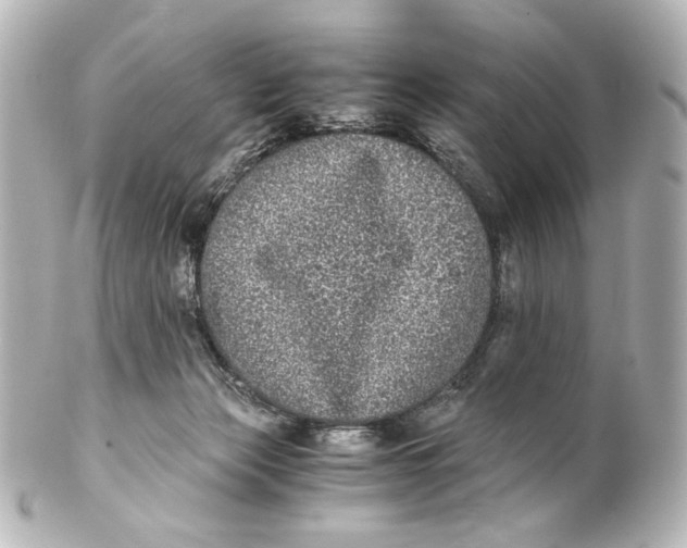 X0000101430173200807281008