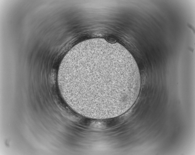 X0000101430174200807281009