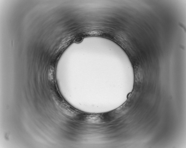 X0000101430175200807281009