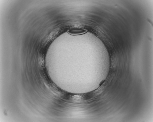 X0000101430176200807281009