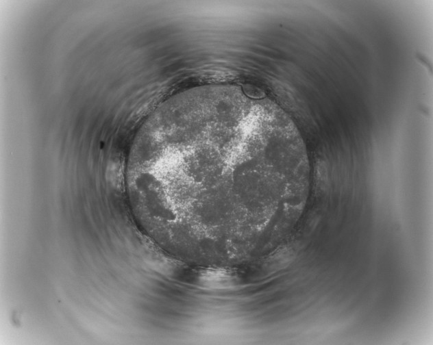 X0000101430177200807281009