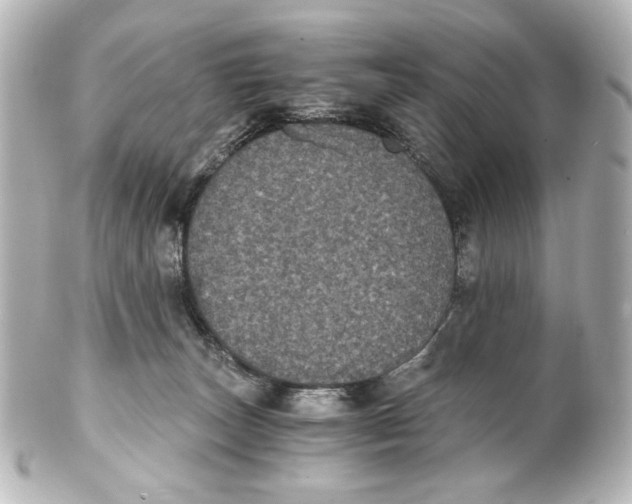 X0000101430179200807281009