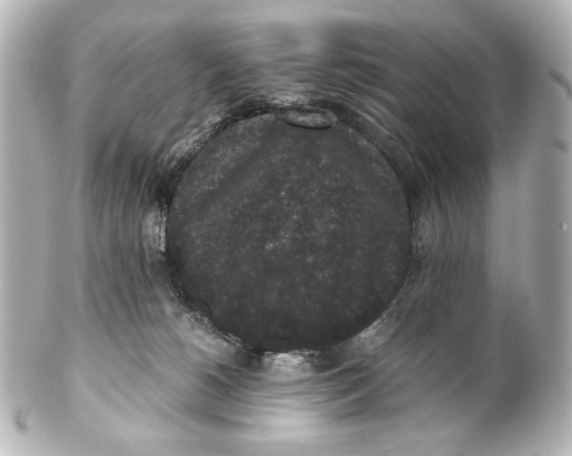 X0000101430180200807281009