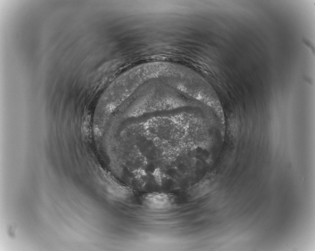 X0000101430181200807281009