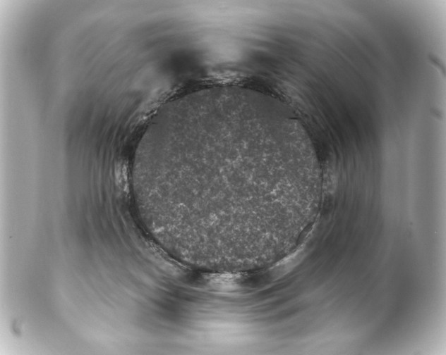 X0000101430182200807281009