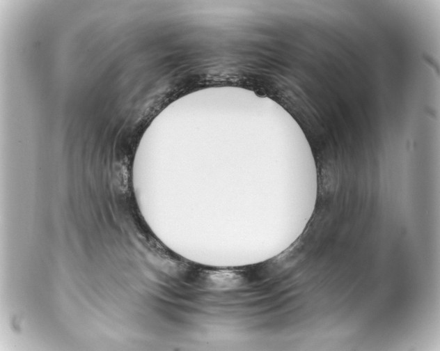 X0000101430183200807281009