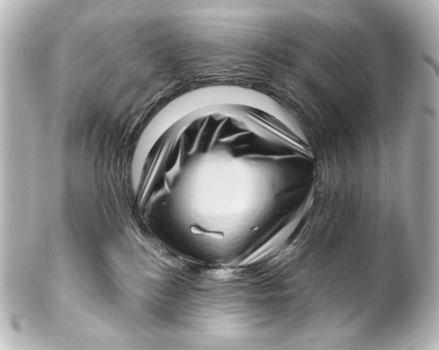 X0000101430184200807281009