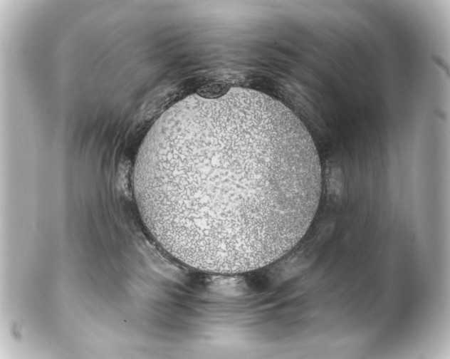 X0000101430185200807281009