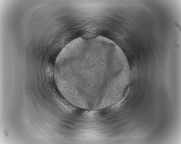 X0000101430186200807281009