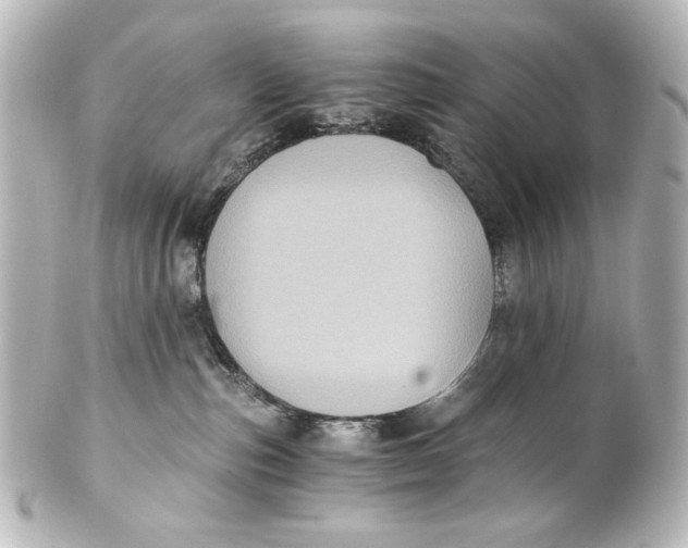 X0000101430187200807281009