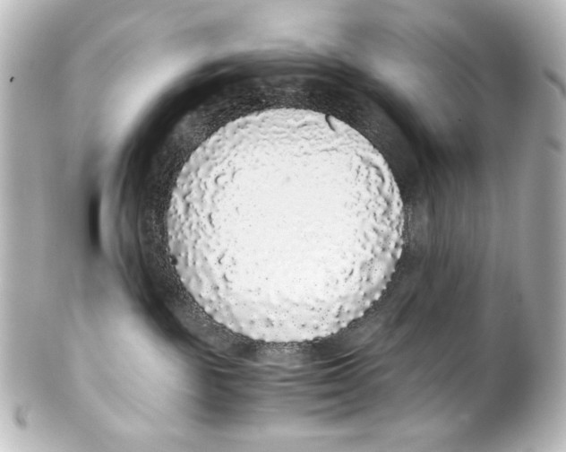 X0000101430189200807281009