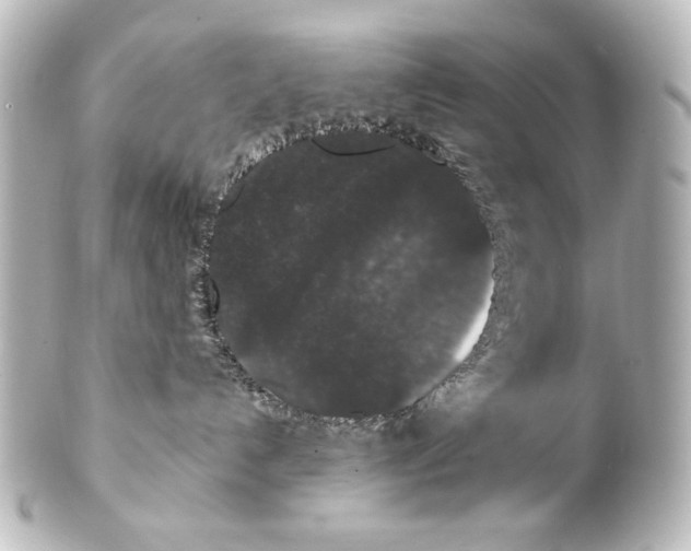 X0000101430192200807281009