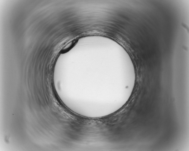 X0000101430193200807281008