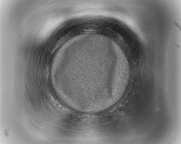 X0000101430194200807281008