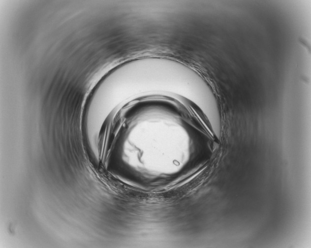 X0000101430196200807281008