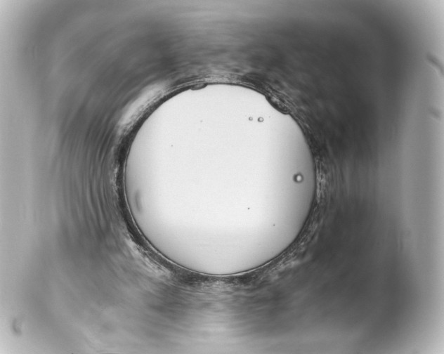 X0000101430197200807281008