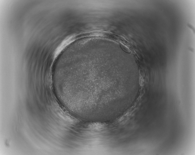 X0000101430198200807281008