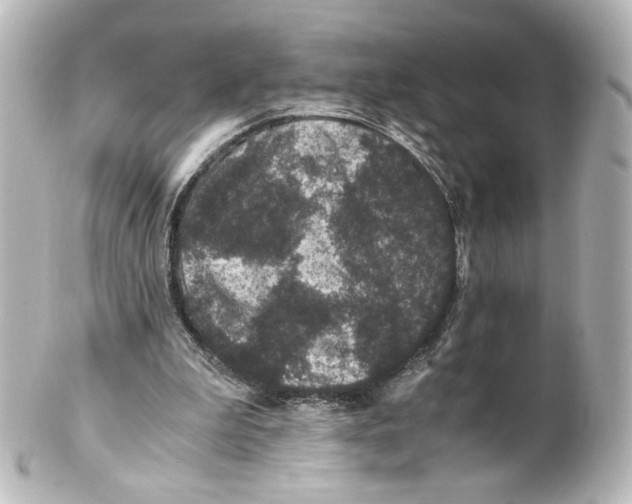 X0000101430199200807281008