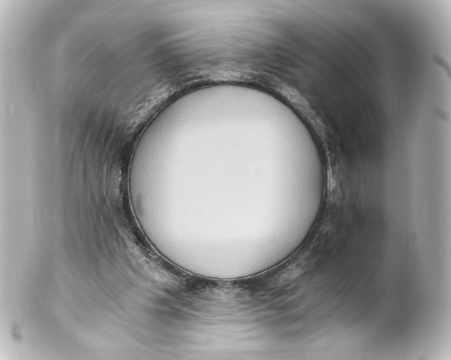 X0000101430201200807281008