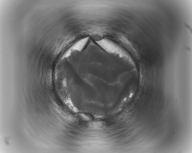 X0000101430202200807281008