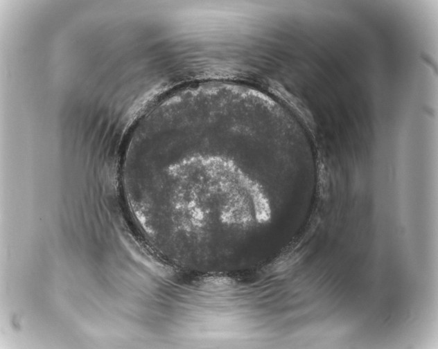 X0000101430203200807281008