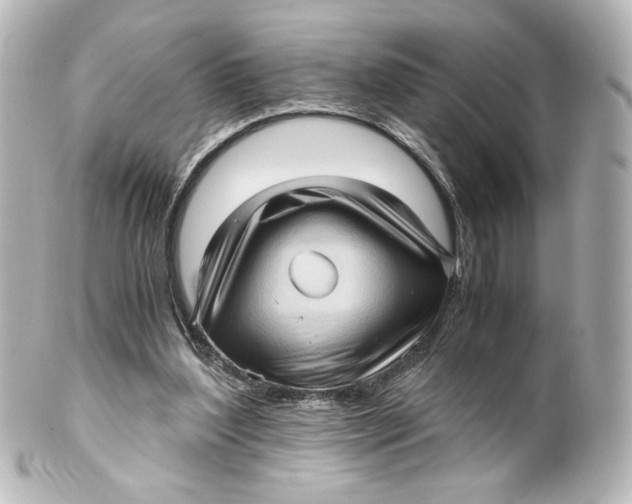 X0000101430204200807281008