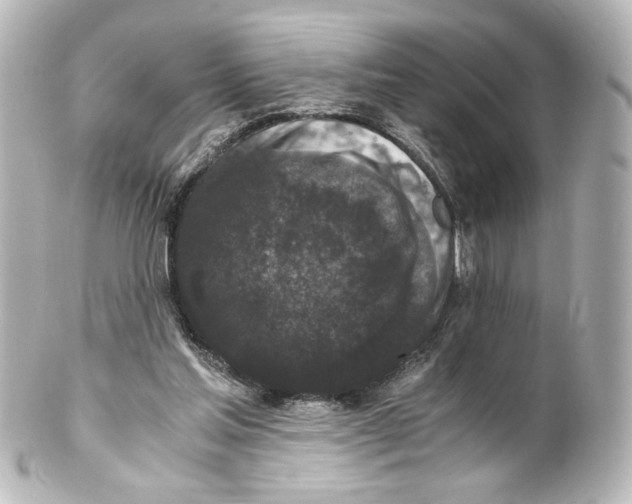 X0000101430205200807281008