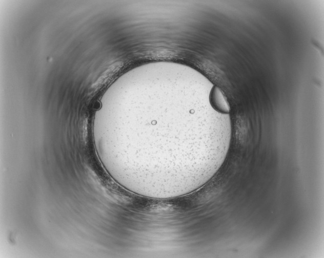 X0000101430206200807281008