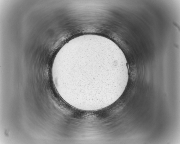 X0000101430207200807281008