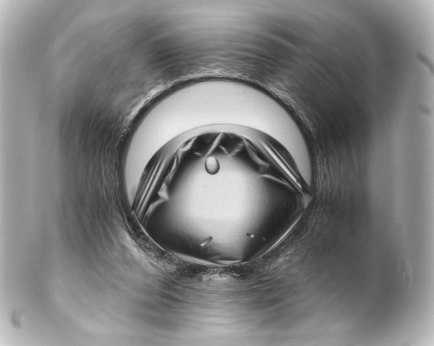 X0000101430208200807281008