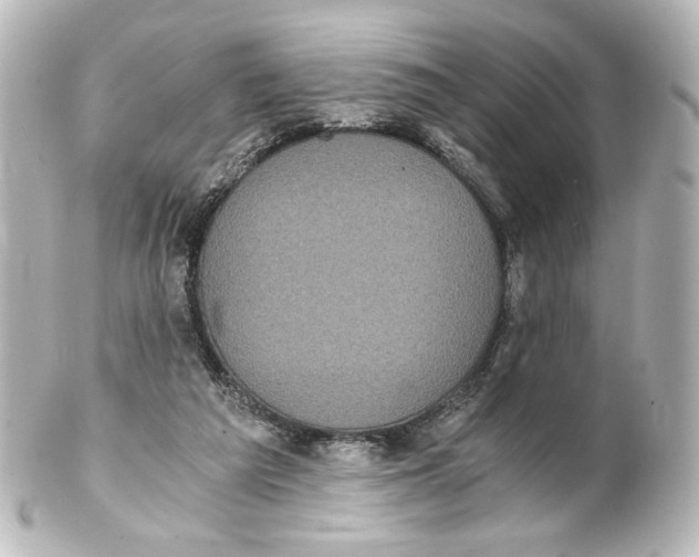 X0000101430209200807281008