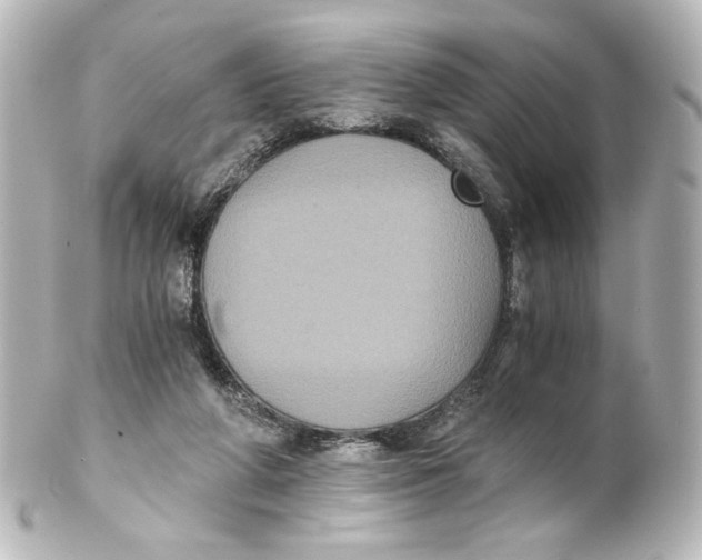 X0000101430210200807281008