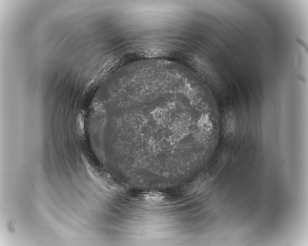 X0000101430214200807281008