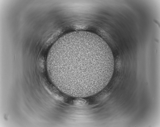 X0000101430215200807281008