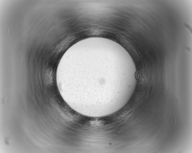 X0000101430216200807281008