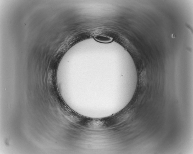 X0000101430217200807281008