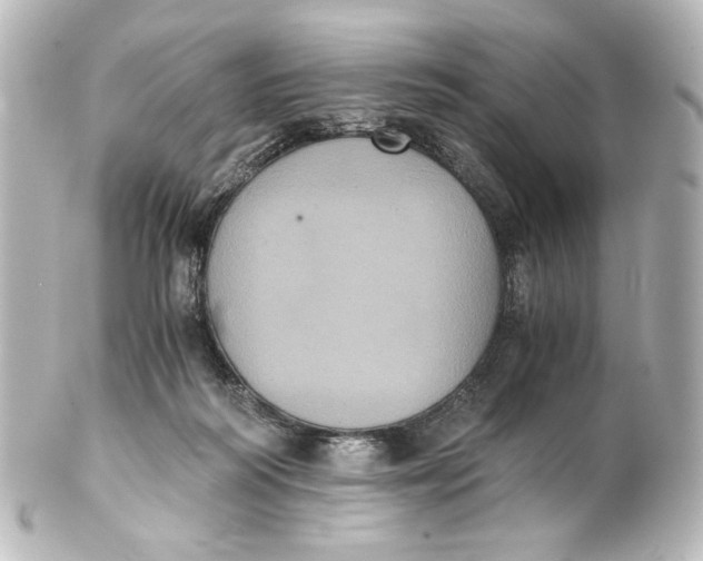 X0000101430218200807281008