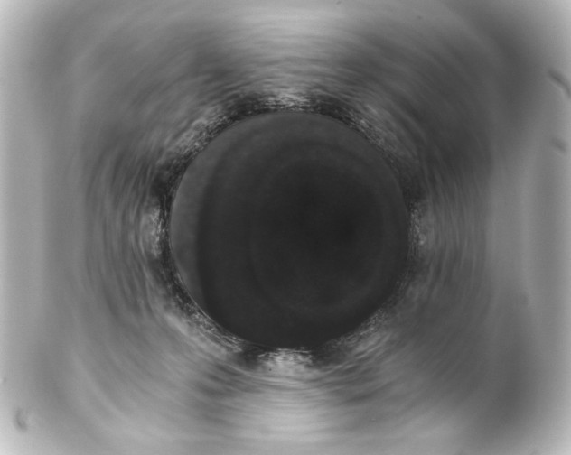 X0000101430223200807281008