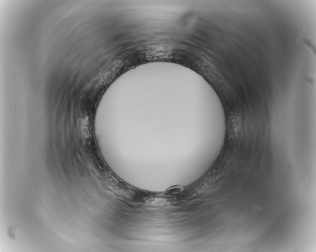 X0000101430224200807281008