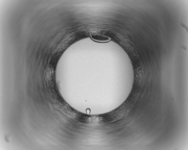 X0000101430225200807281008