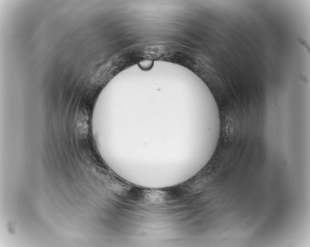 X0000101430226200807281008