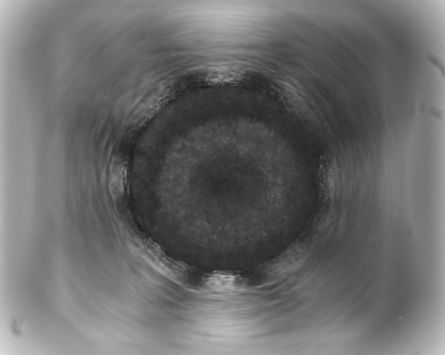 X0000101430227200807281008