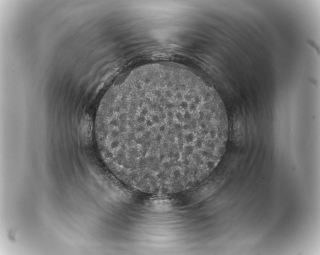 X0000101430228200807281008