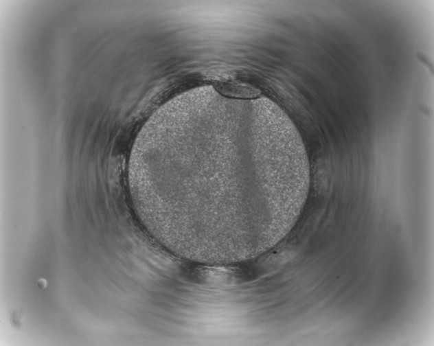 X0000101430229200807281008