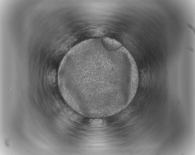 X0000101430230200807281008