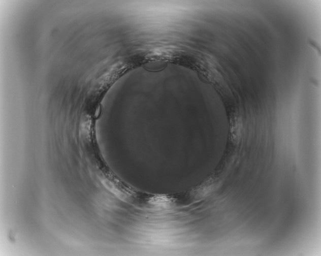 X0000101430231200807281008