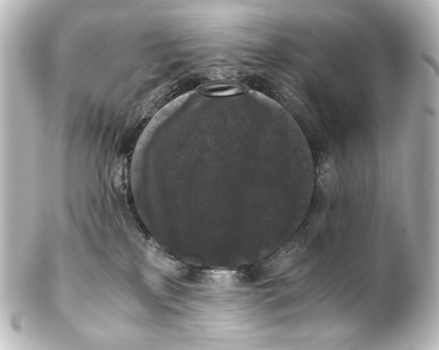 X0000101430233200807281008